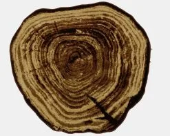 Heine Home Webteppich In Braun-beige