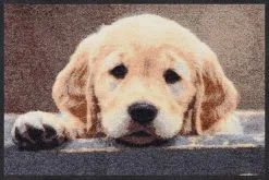 Salonloewe Fußmatte In Hellbraun